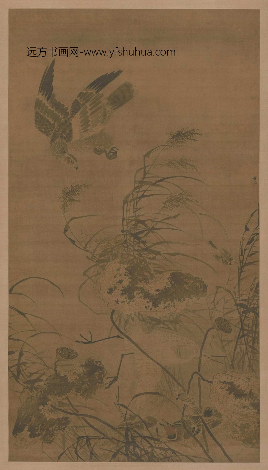 吕纪残荷鹰鹭图轴