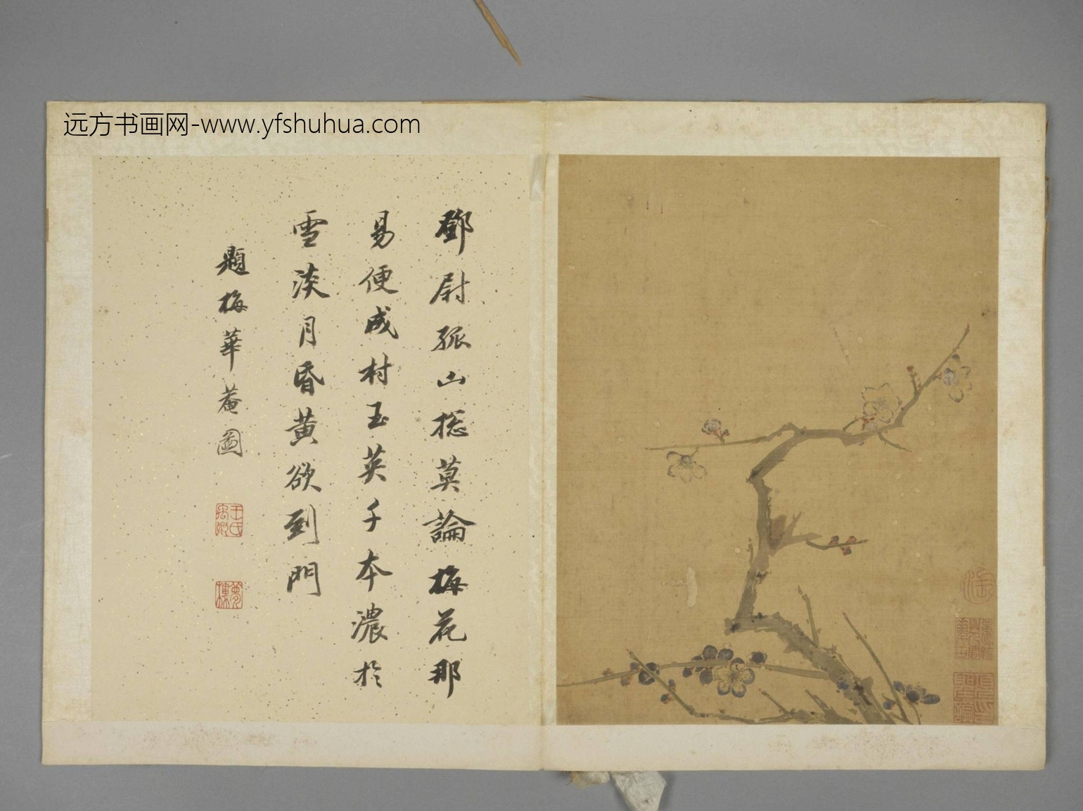 明-项圣谟花卉册-新00130564-7-8 明-项圣谟花卉册-新00130564-7-8