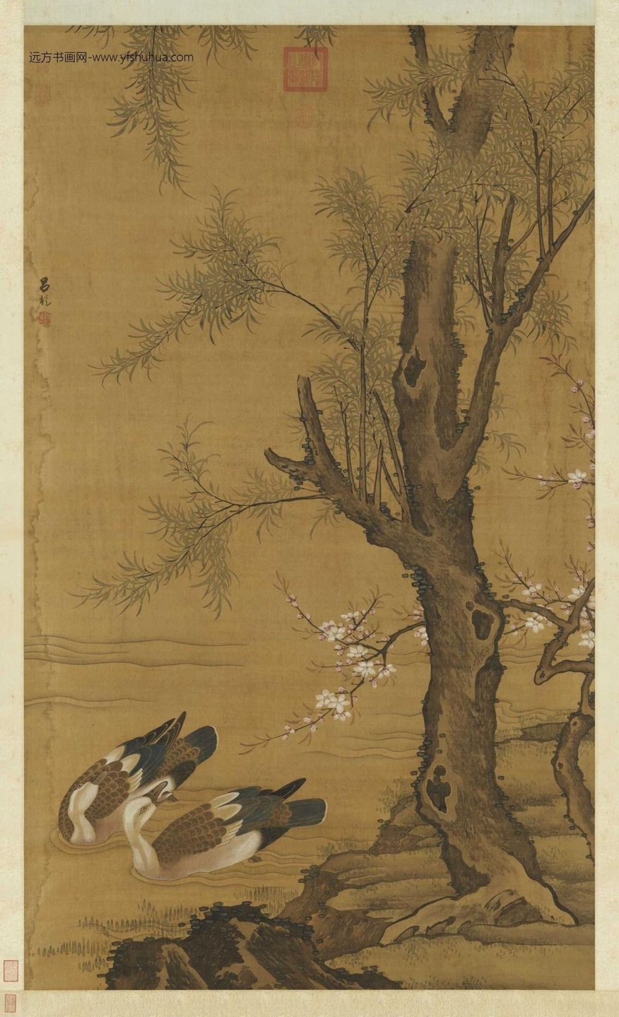 明_吕纪_桃柳双凫图