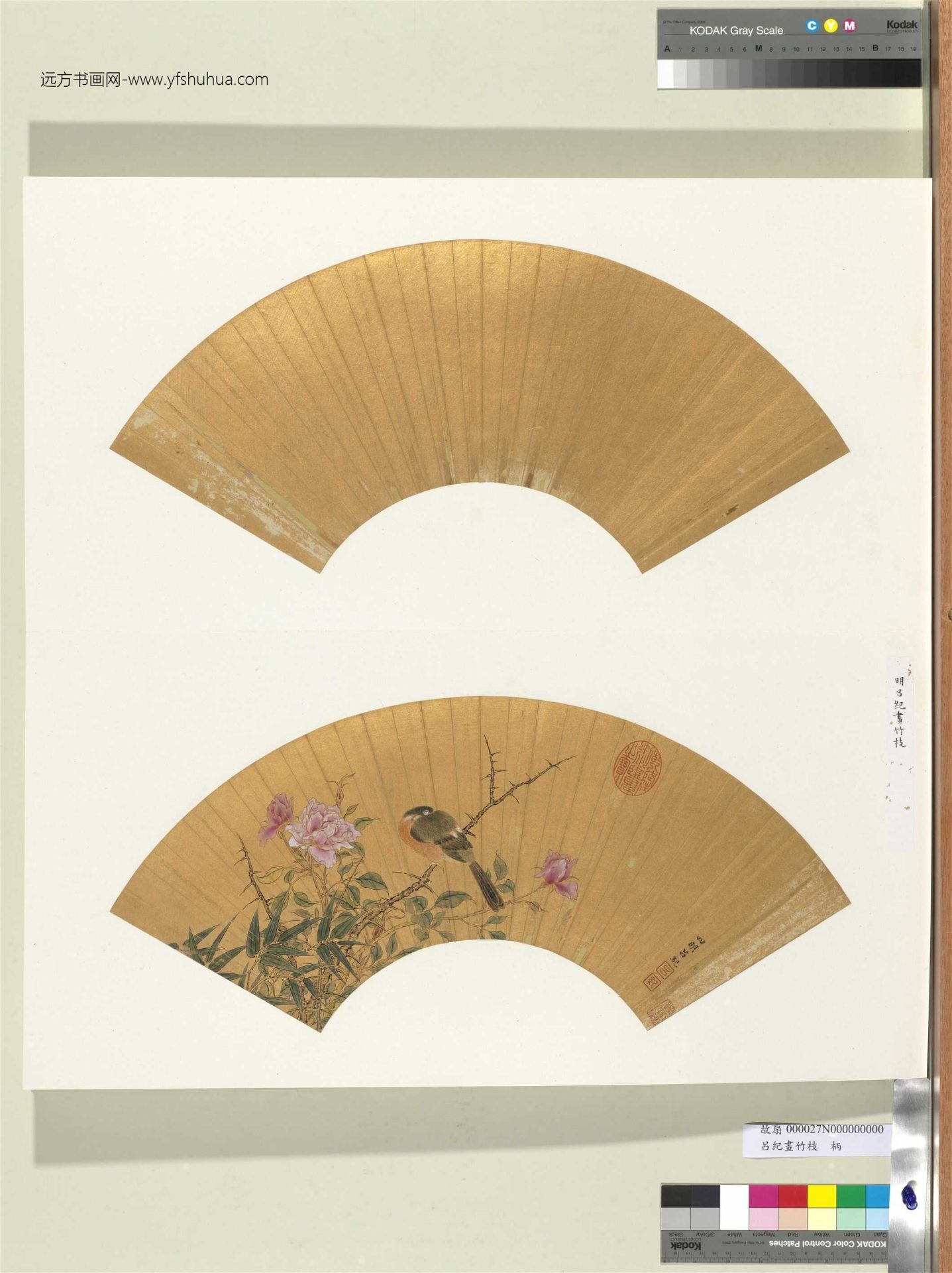 明_吕纪_画竹枝册_0