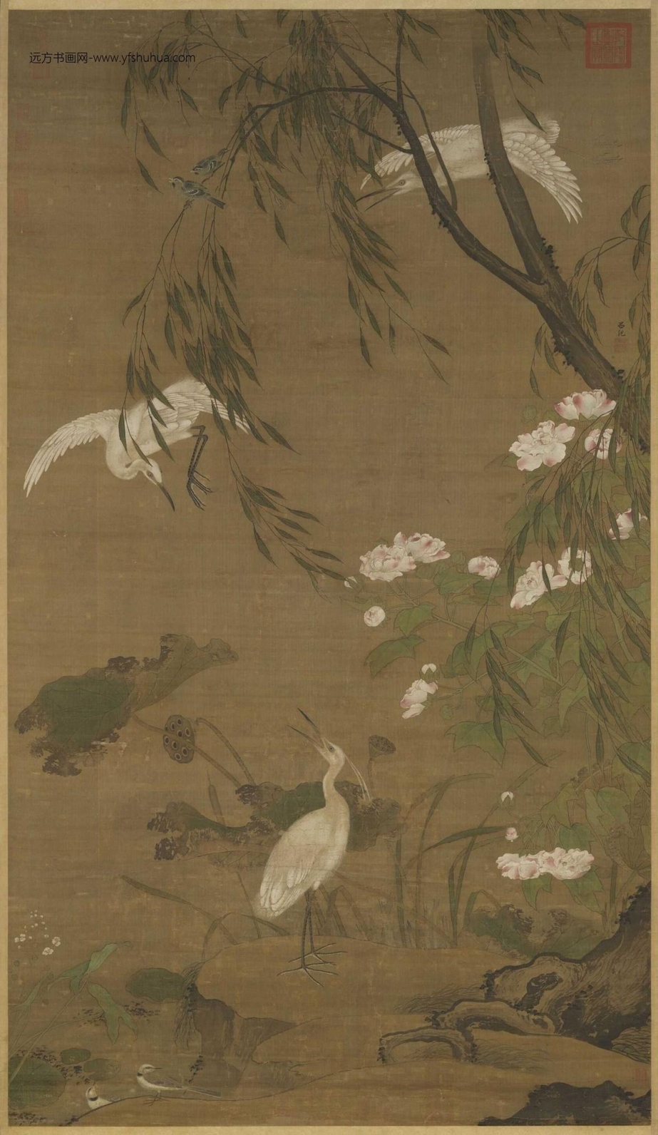 明_吕纪_秋鹭芙蓉图