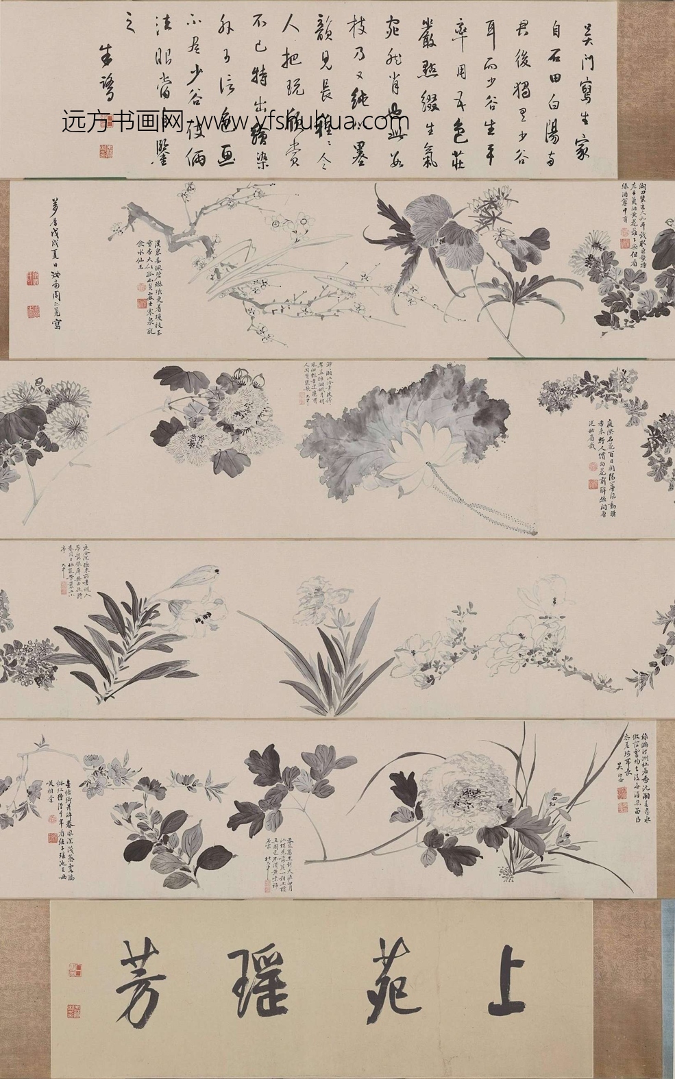 明_周之冕_仿陈道复花卉卷 明_周之冕_仿陈道复花卉卷