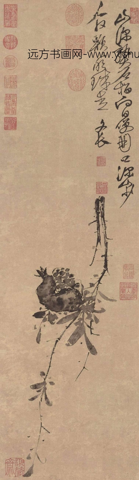 明_徐渭_榴实图