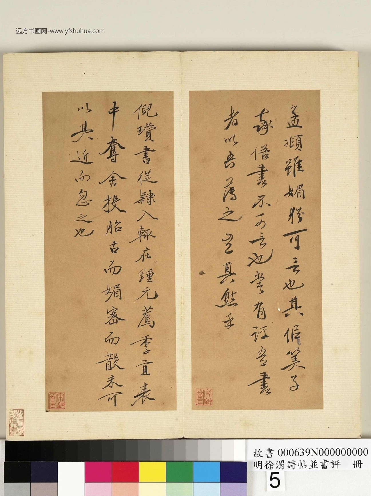 明_徐渭_诗帖并书评册_5 明_徐渭_诗帖并书评册_5