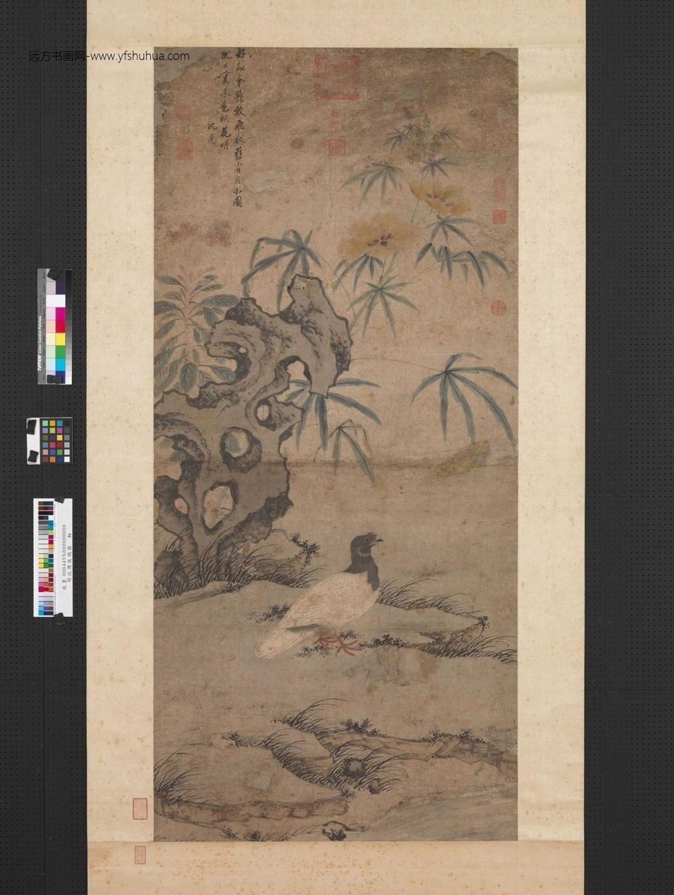 明_沈周_放鸽图