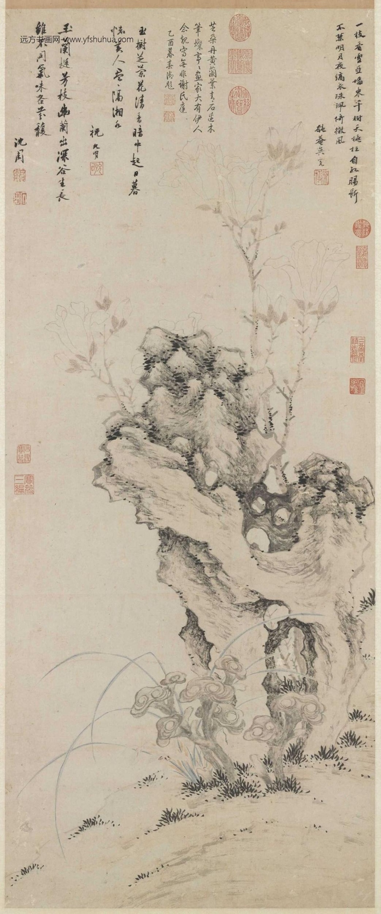 明_沈周_芝兰玉树图