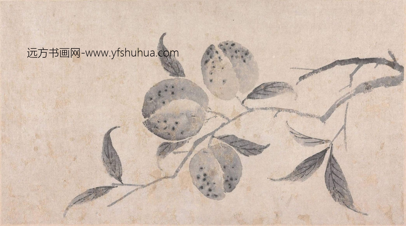 明_沈周_莲花豆荚图册_0 明_沈周_莲花豆荚图册_0