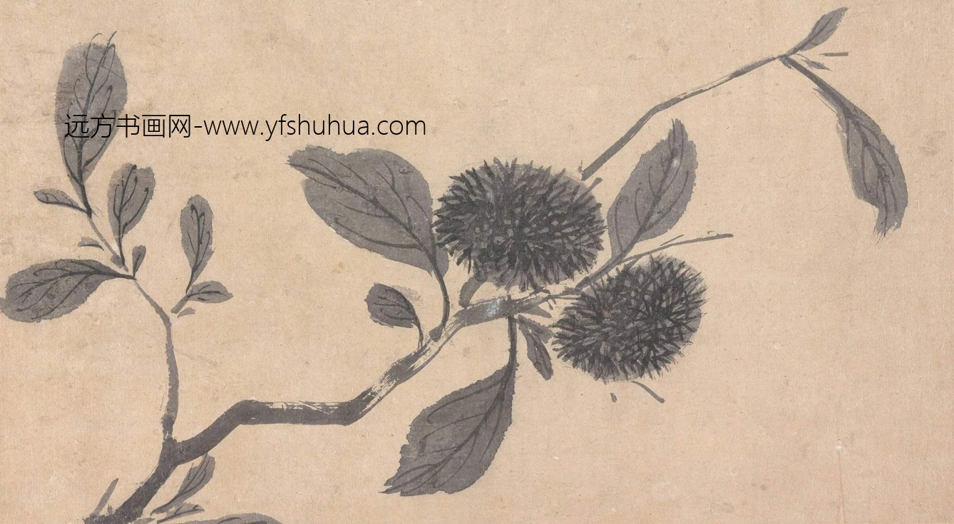 明_沈周_莲花豆荚图册_6 明_沈周_莲花豆荚图册_6