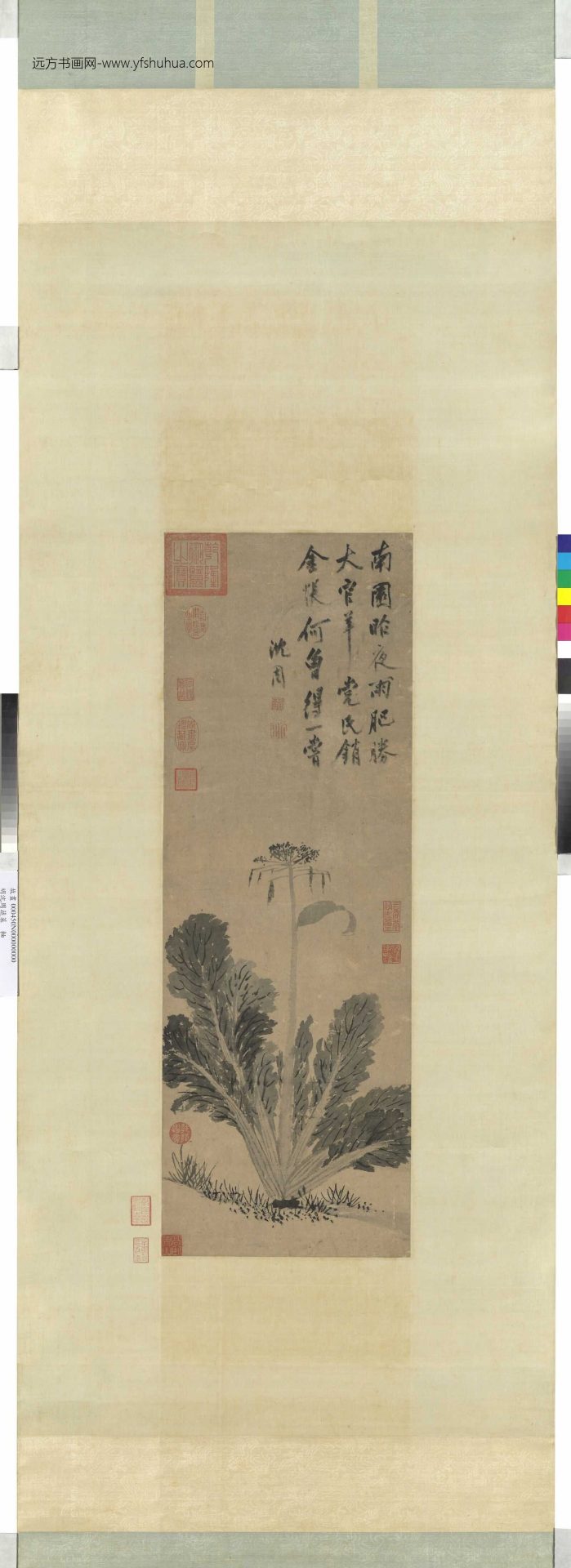 明_沈周_蔬菜图