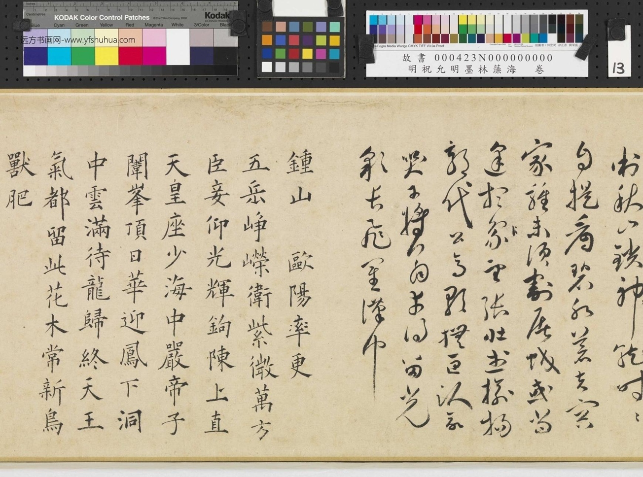 明_祝允明_墨林藻海卷_ (13) 明_祝允明_墨林藻海卷_ (13)