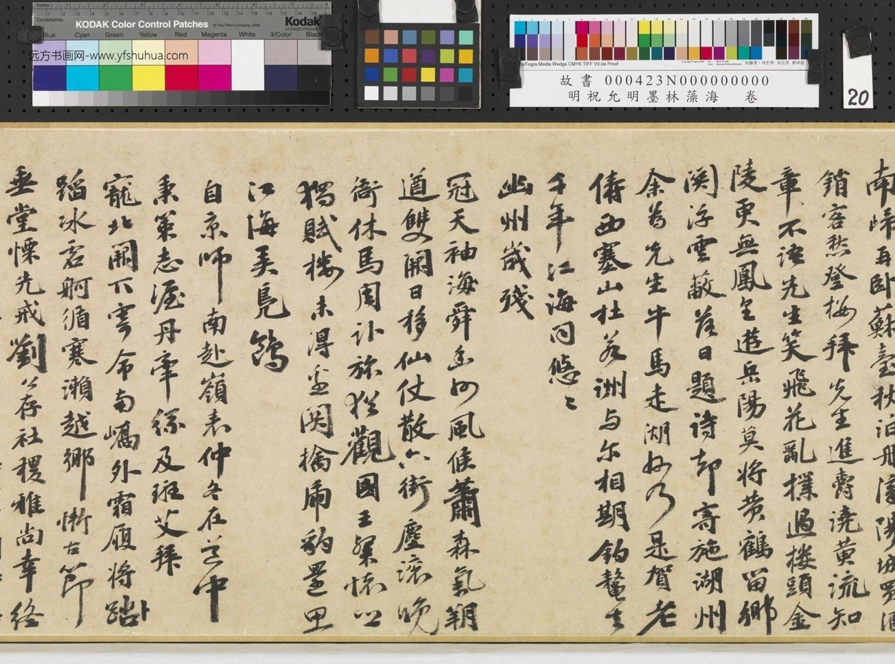 明_祝允明_墨林藻海卷_ (20) 明_祝允明_墨林藻海卷_ (20)