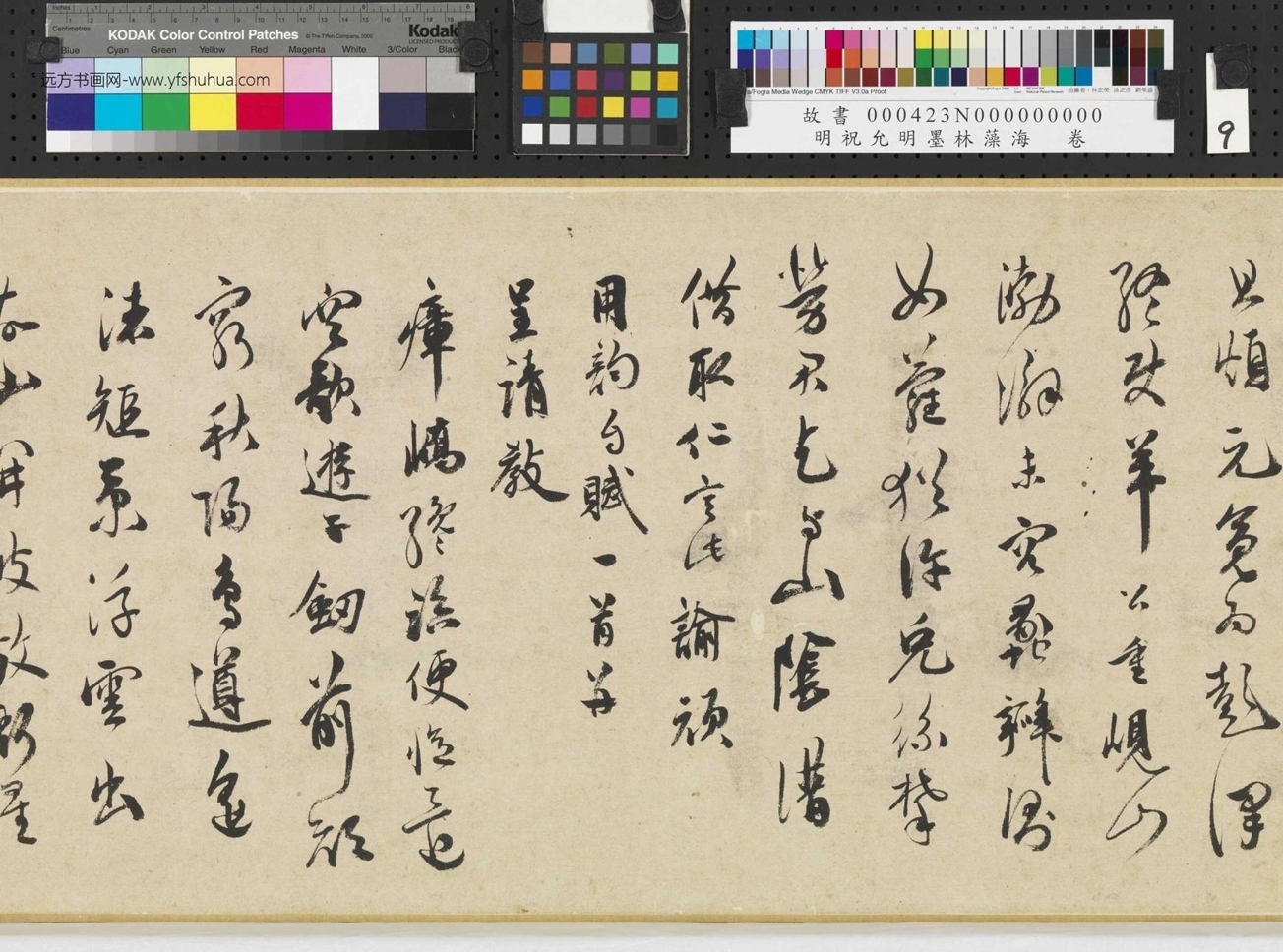 明_祝允明_墨林藻海卷_ (9) 明_祝允明_墨林藻海卷_ (9)