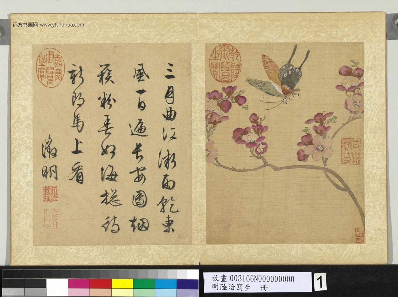 明_陆治_写生绘册_0