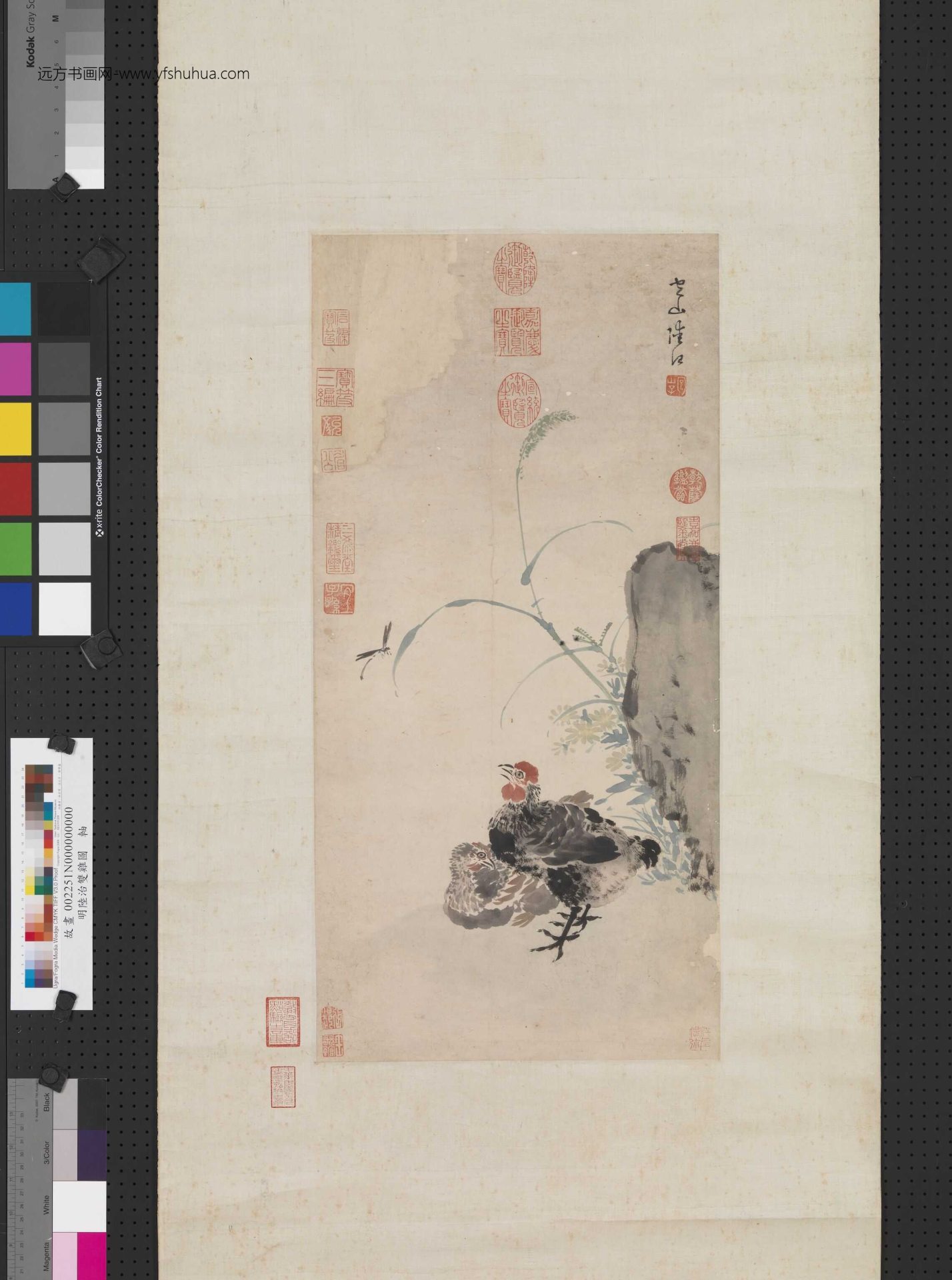 明_陆治_双鸡图
