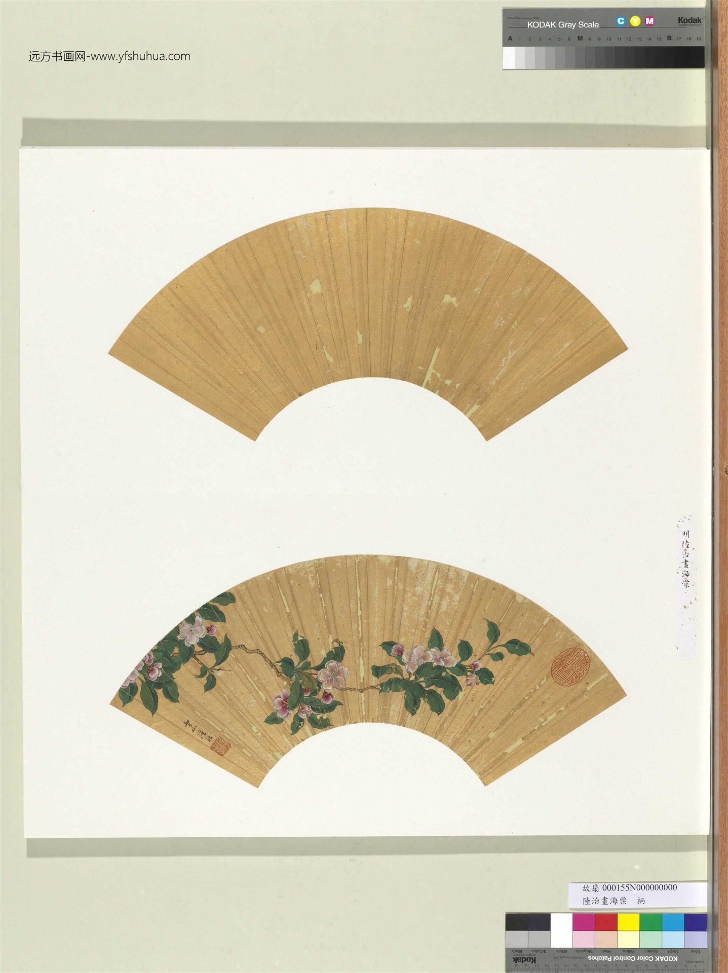 明_陆治_海棠册页