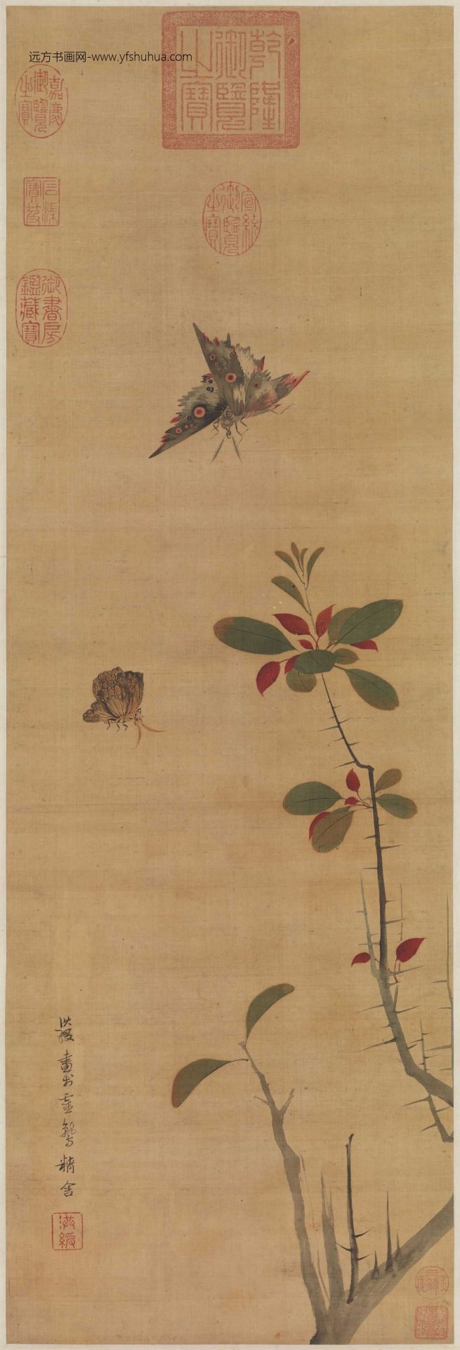 明_陈洪绶_花蝶写生图