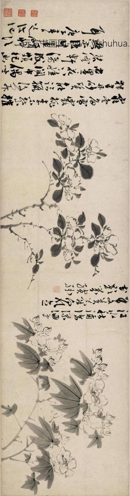 明_陈淳_墨笔花卉_0 明_陈淳_墨笔花卉_0