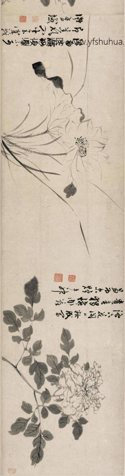 明_陈淳_墨笔花卉_3 明_陈淳_墨笔花卉_3