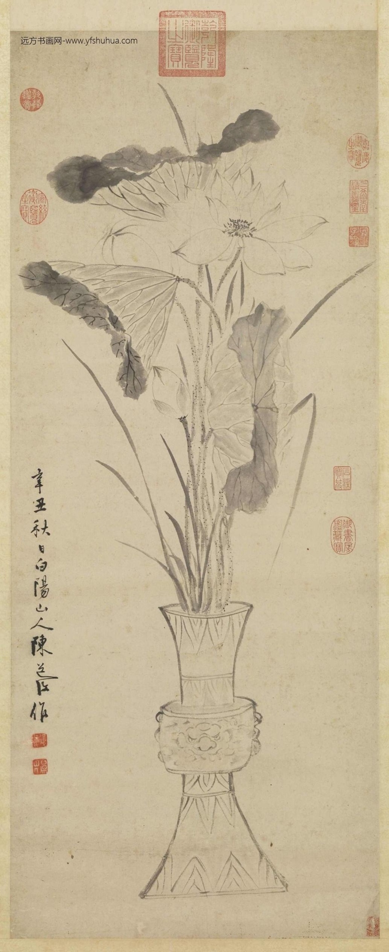 明_陈淳_瓶荷写生图