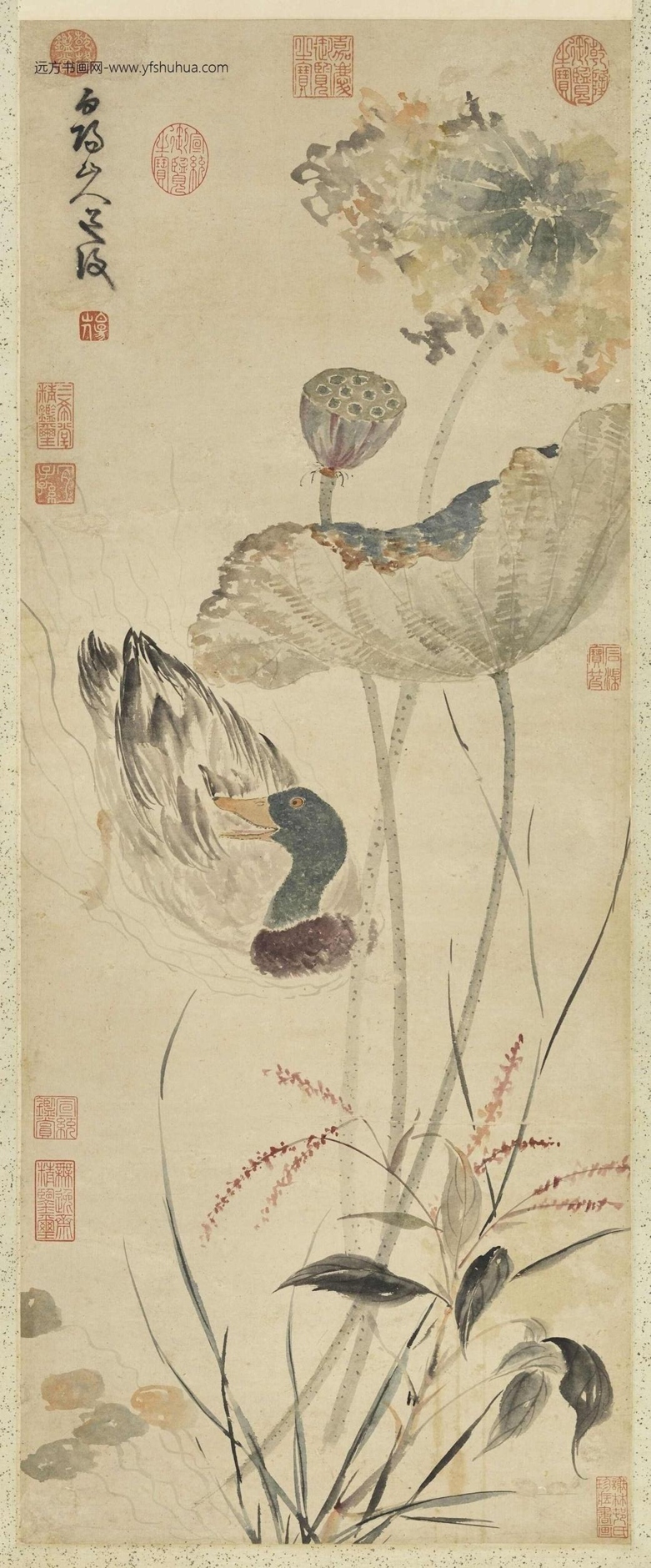 明_陈淳_秋塘花鸭图