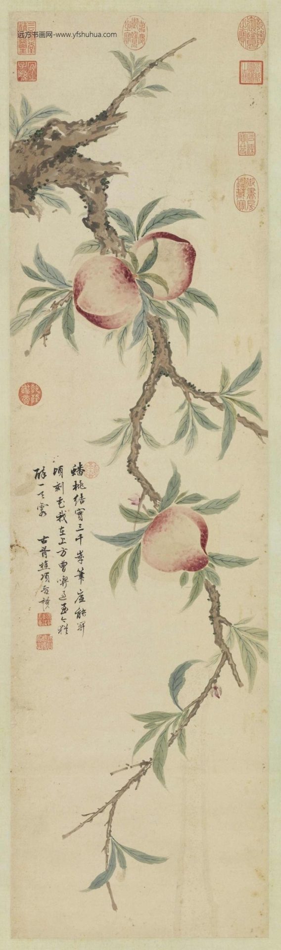 明_项圣谟_蟠桃图 明_项圣谟_蟠桃图