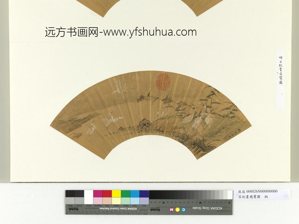 明吕纪画飞鹭图册页 明吕纪画飞鹭图册页