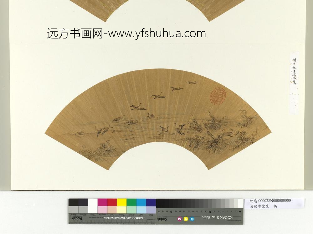 明吕纪画鹭鹚册页 明吕纪画鹭鹚册页
