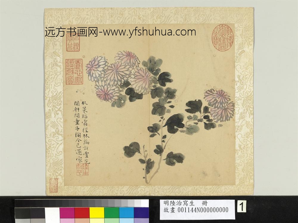 明陆治写生册林端雪花 明陆治写生册林端雪花