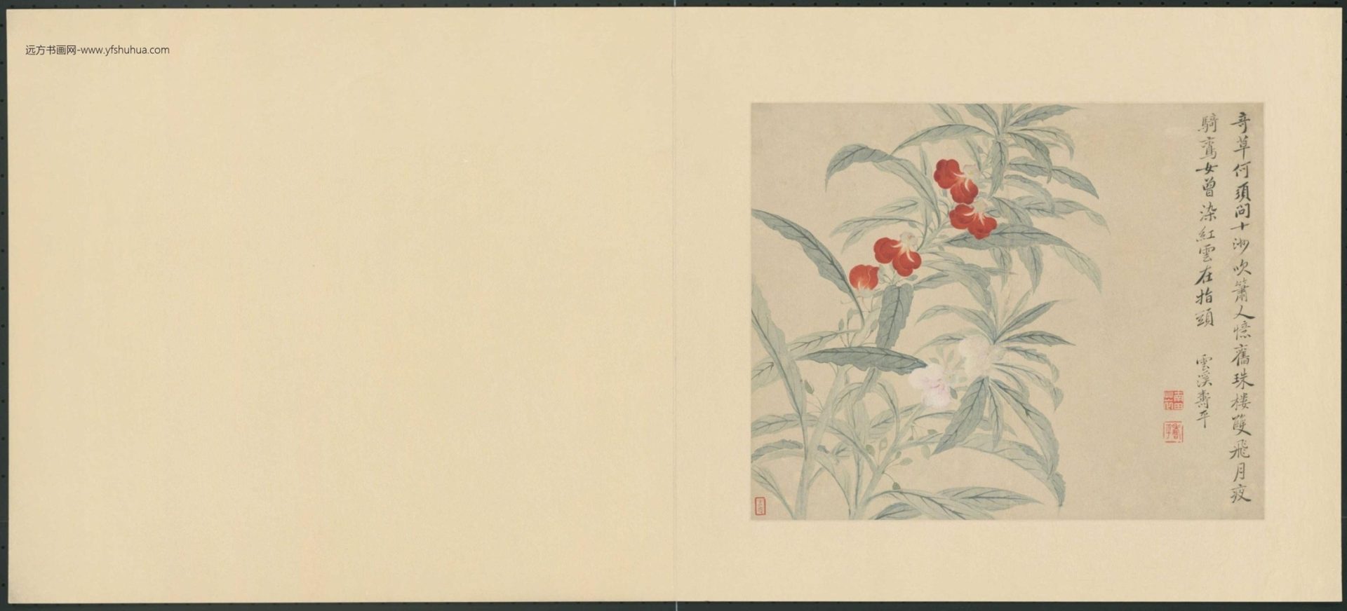 清-恽寿平花卉册-新00146898-3-8 清-恽寿平花卉册-新00146898-3-8