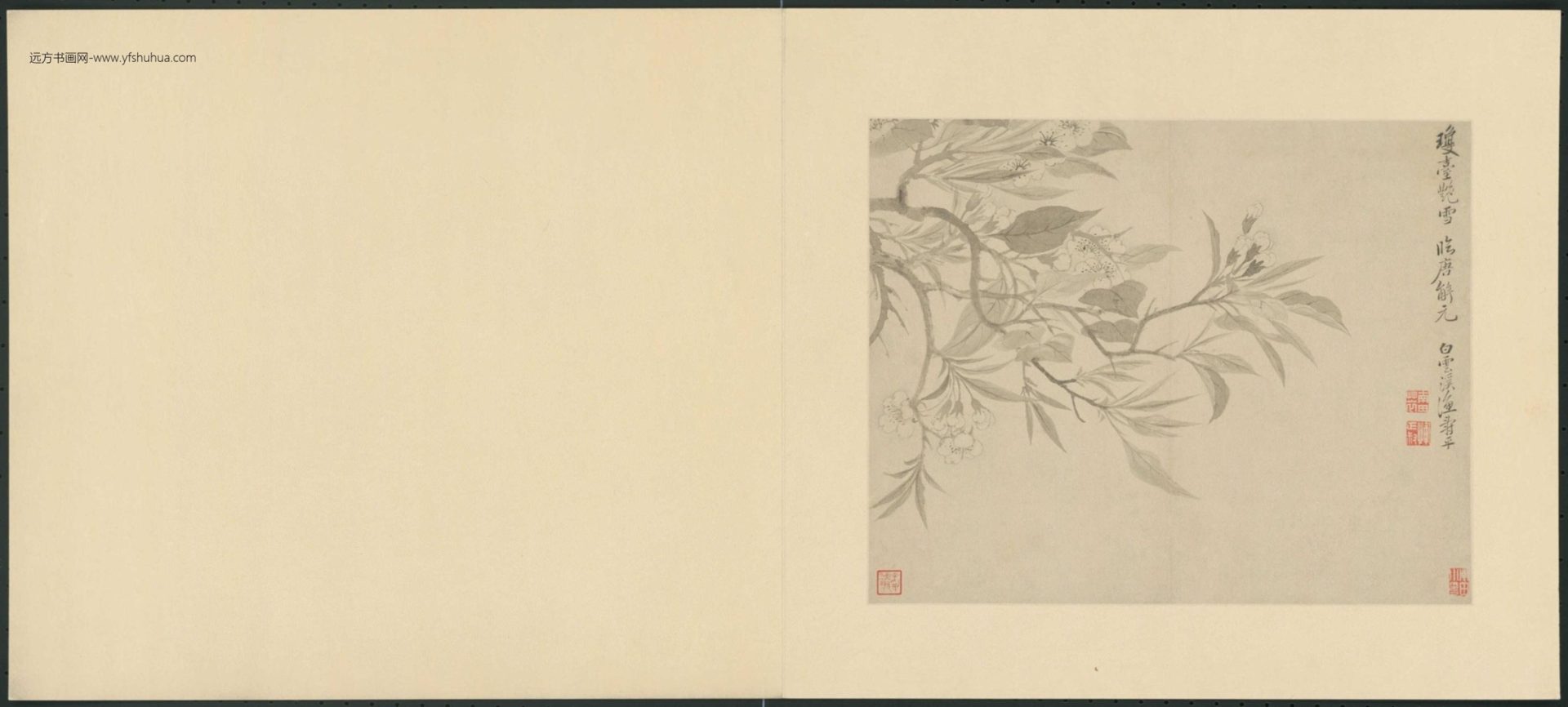 清-恽寿平花卉册-新00146898-6-8 清-恽寿平花卉册-新00146898-6-8