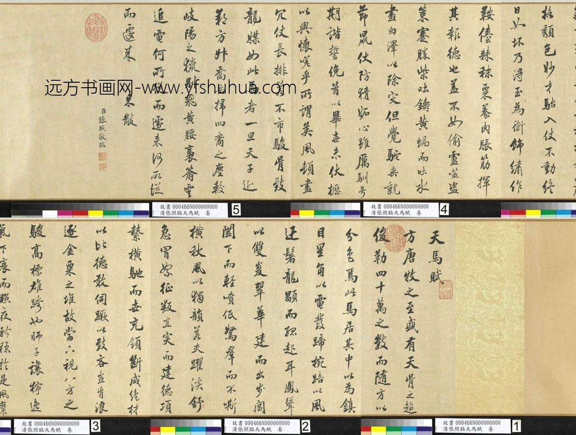 清_张照_临天马赋 清_张照_临天马赋