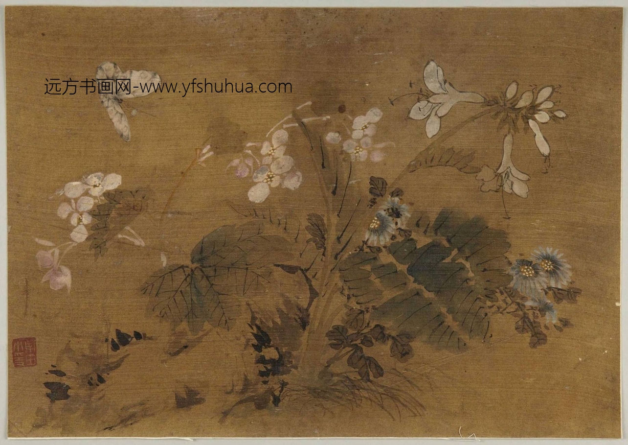 清_恽寿平_花鸟草虫图册_1 清_恽寿平_花鸟草虫图册_1