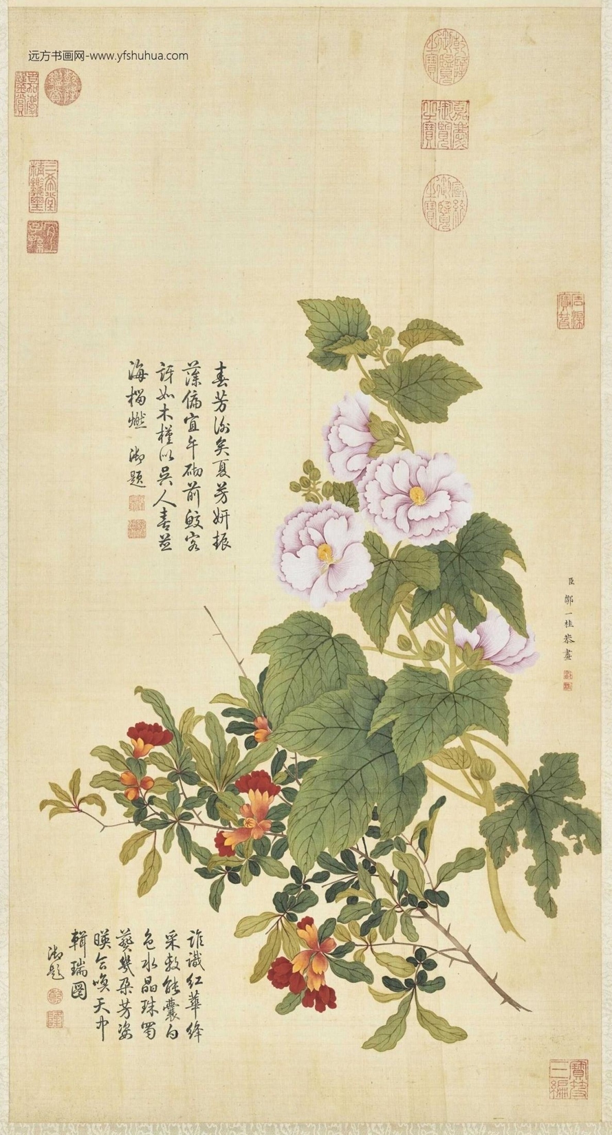 清_邹一桂_蜀葵石榴轴