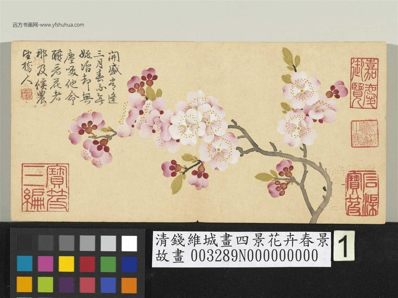 清_钱维城_四景花卉春景_0