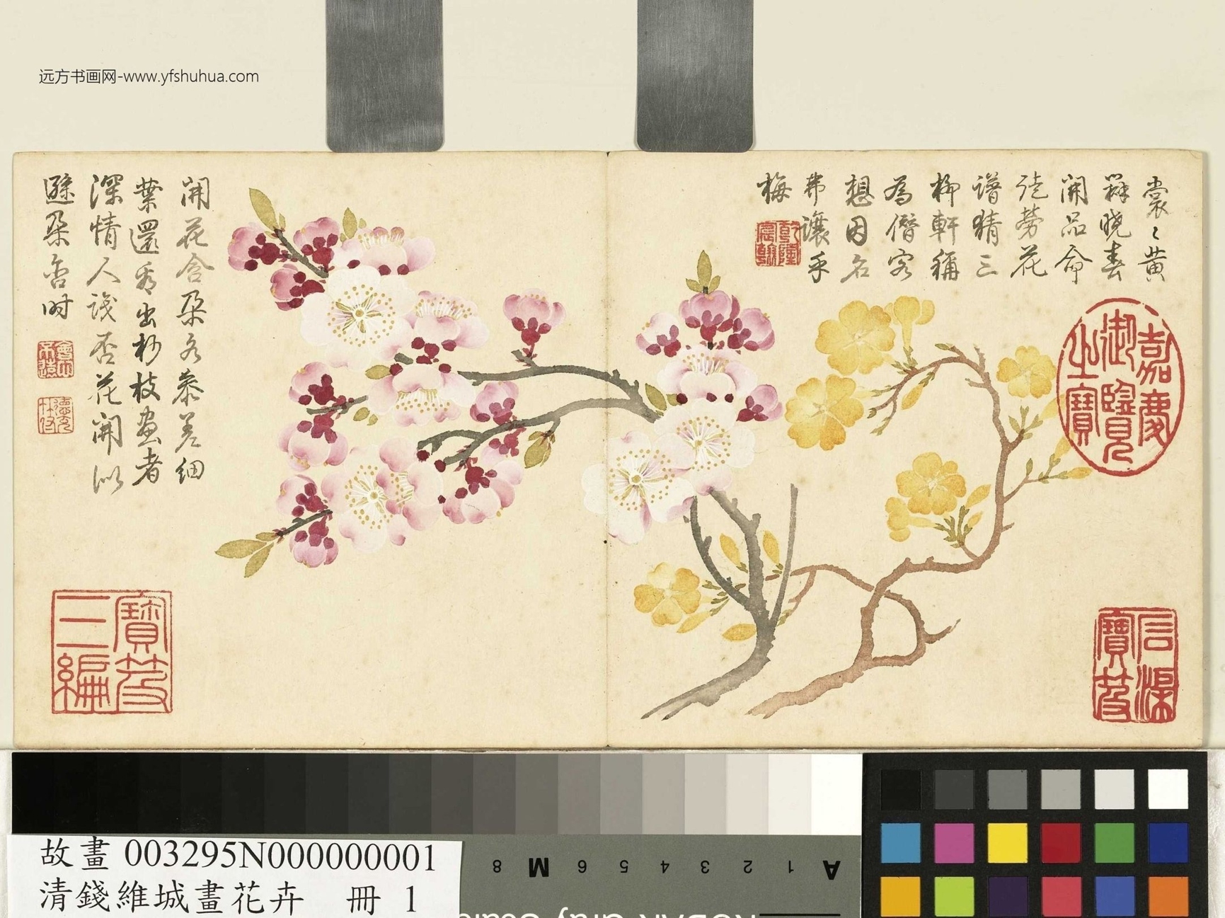 清_钱维城_画花卉_0