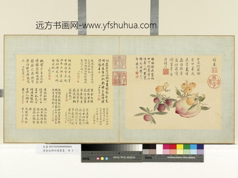 清金廷标仿陈书画册杂果 清金廷标仿陈书画册杂果