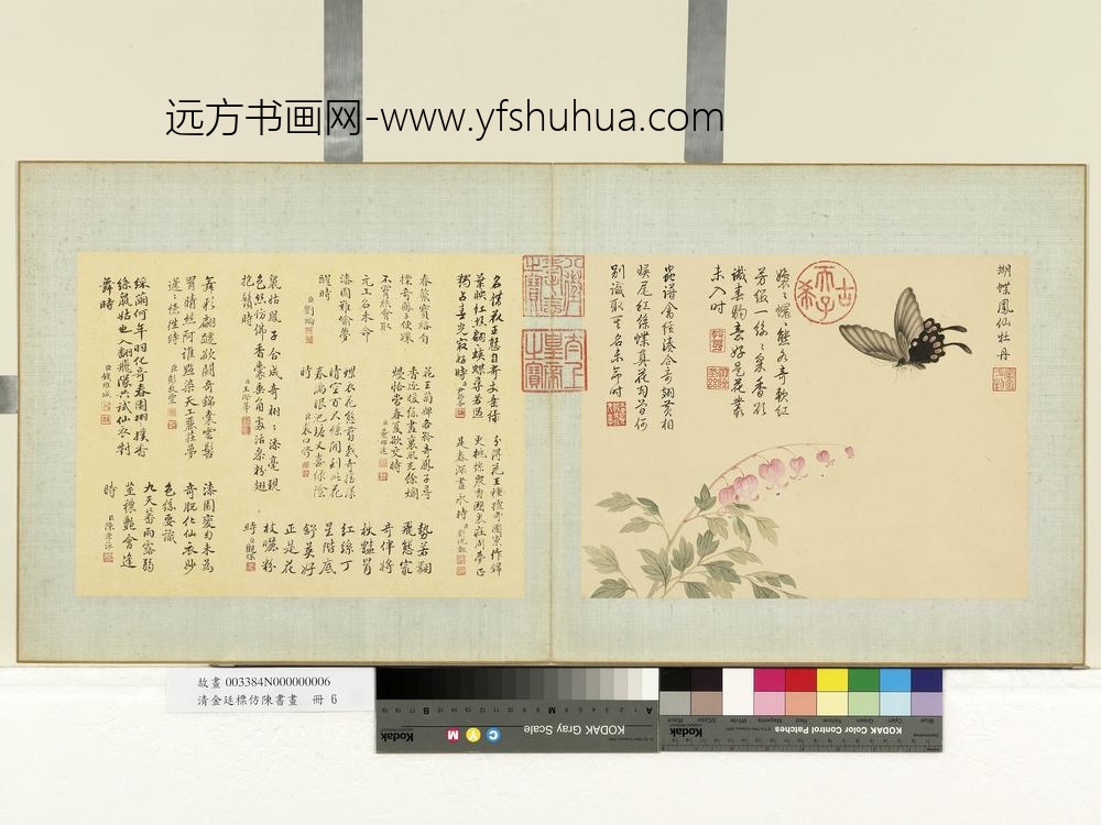 清金廷标仿陈书画册蝴蝶凤仙牡丹 清金廷标仿陈书画册蝴蝶凤仙牡丹