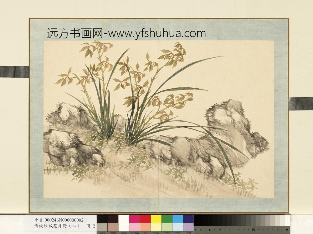 清钱维城花卉册（二）册画兰之二