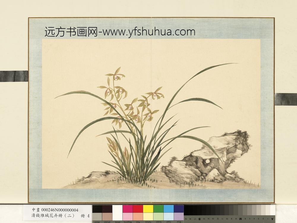 清钱维城花卉册（二）册画兰之四