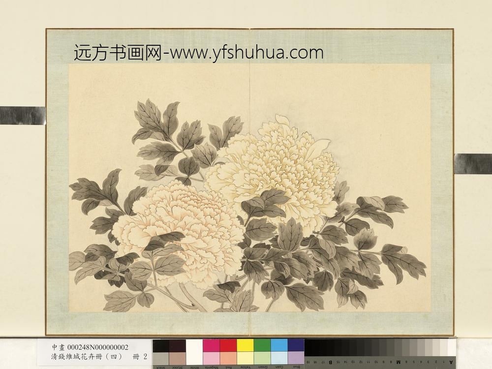清钱维城花卉册（四）册画牡丹之二