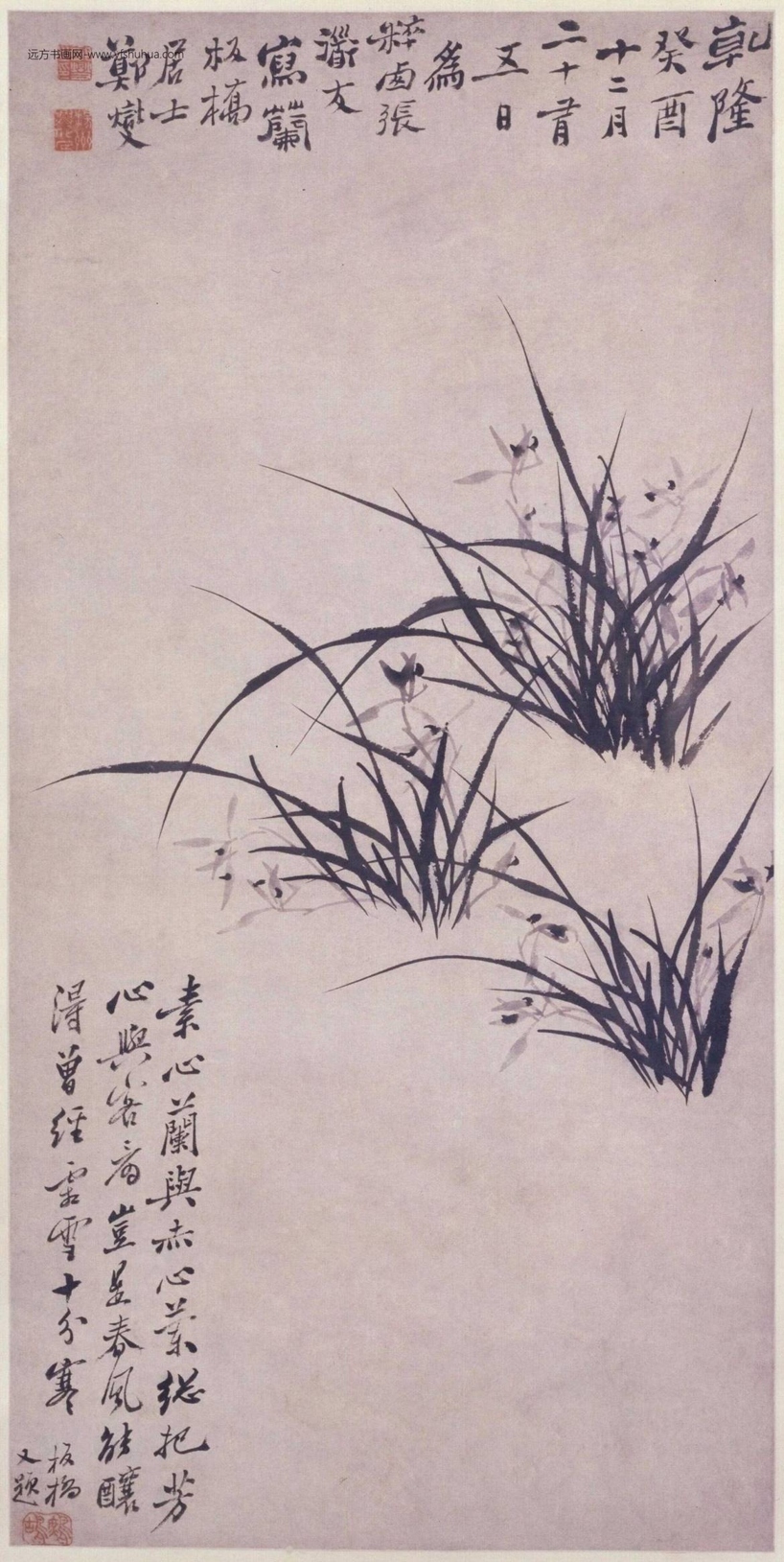 郑夑兰花图轴-0