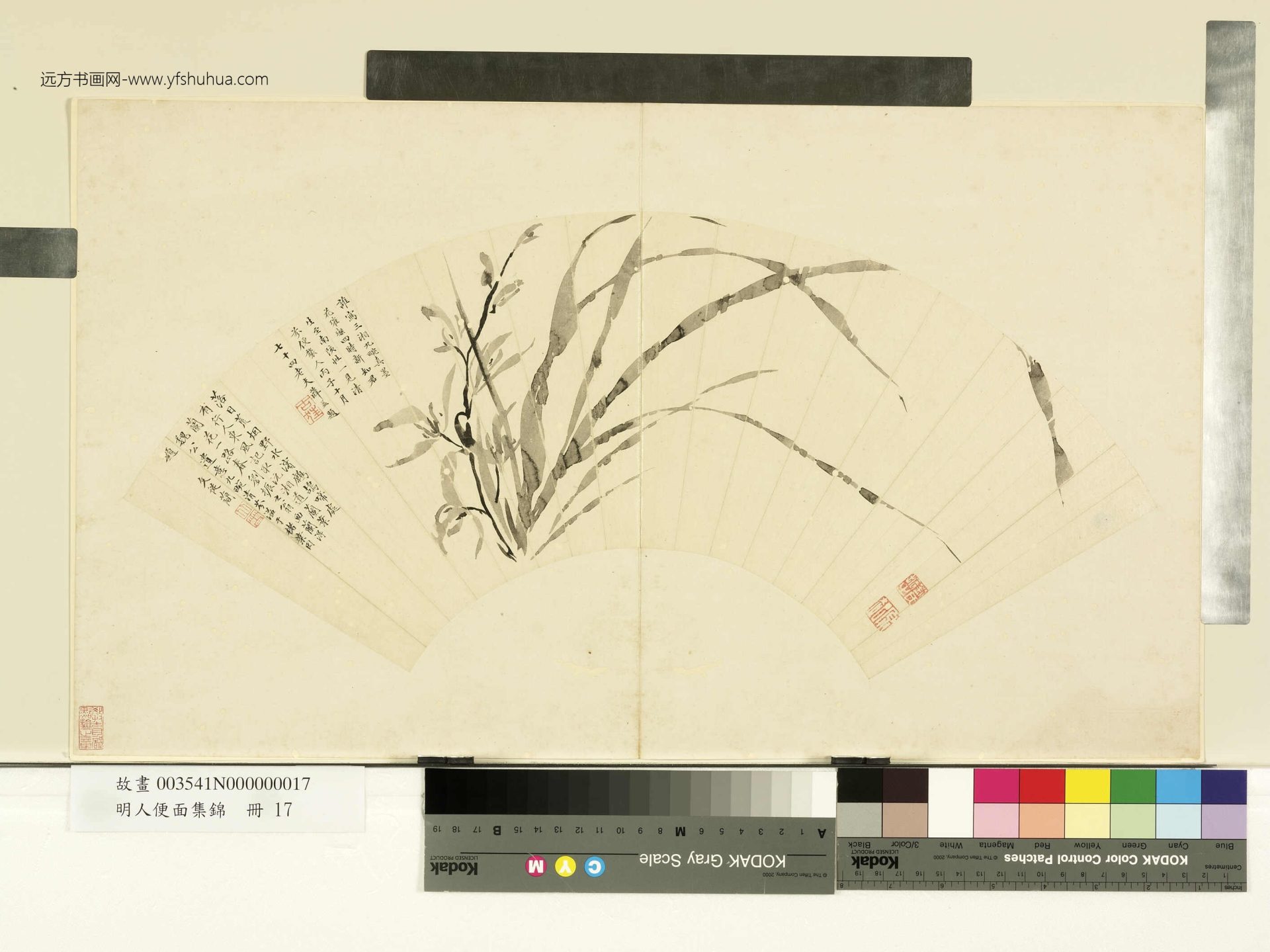 11462__明人便面集锦.册.明刘原起兰花故画00354100017__K2A003541N000000017PAA