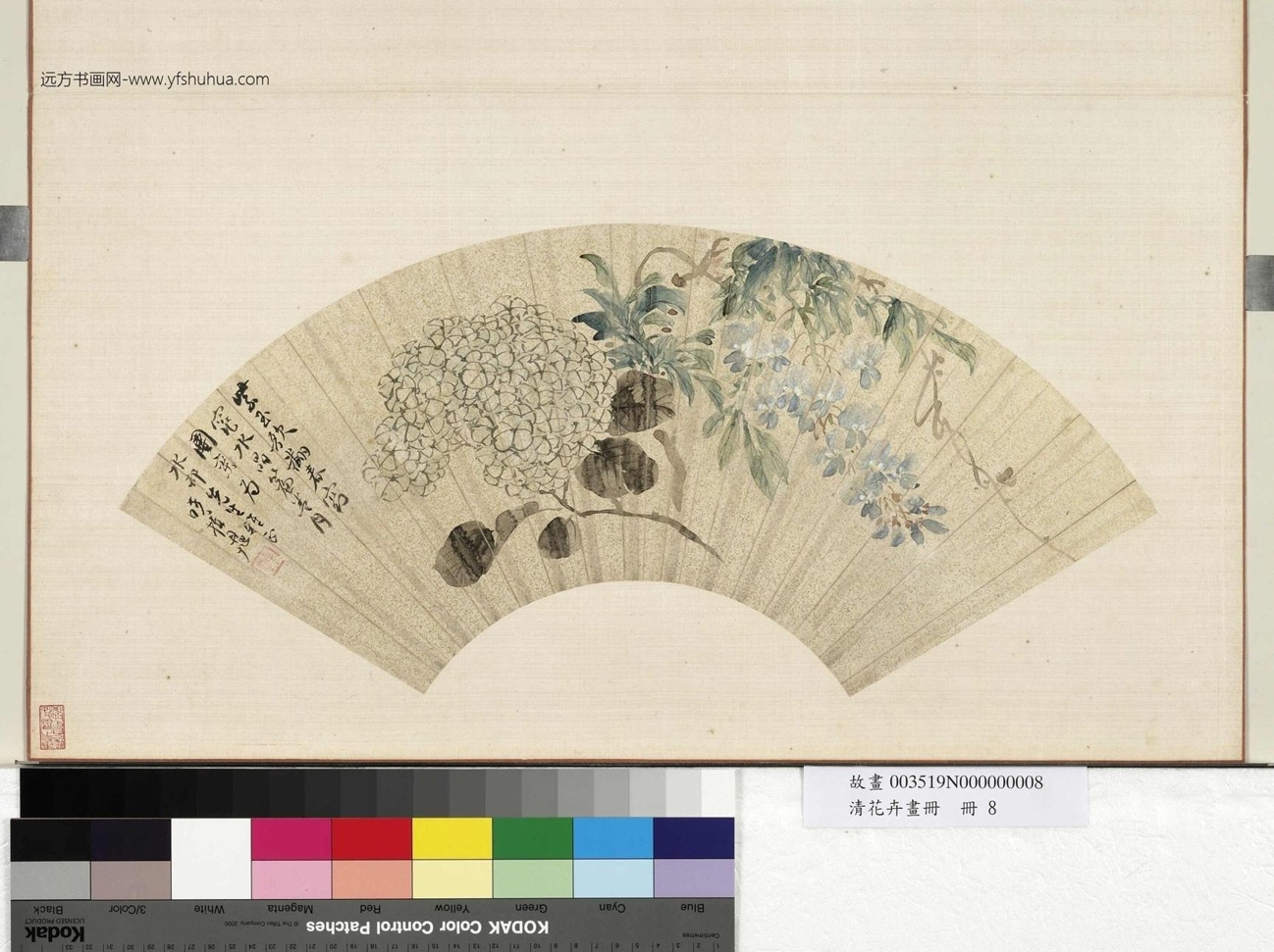 ZT-清-费丹旭-紫藤绣球图_花卉画册