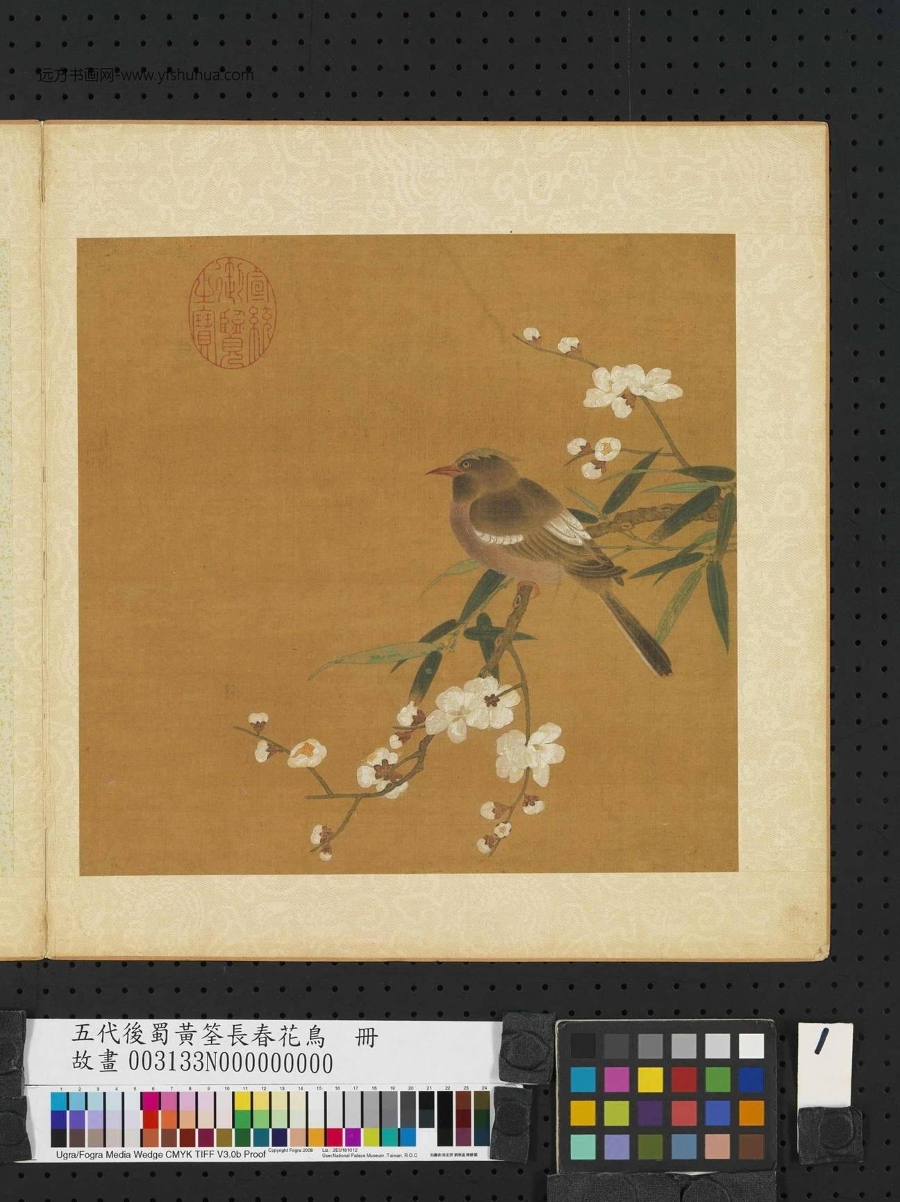五代十国_黄筌_长春花鸟册_1