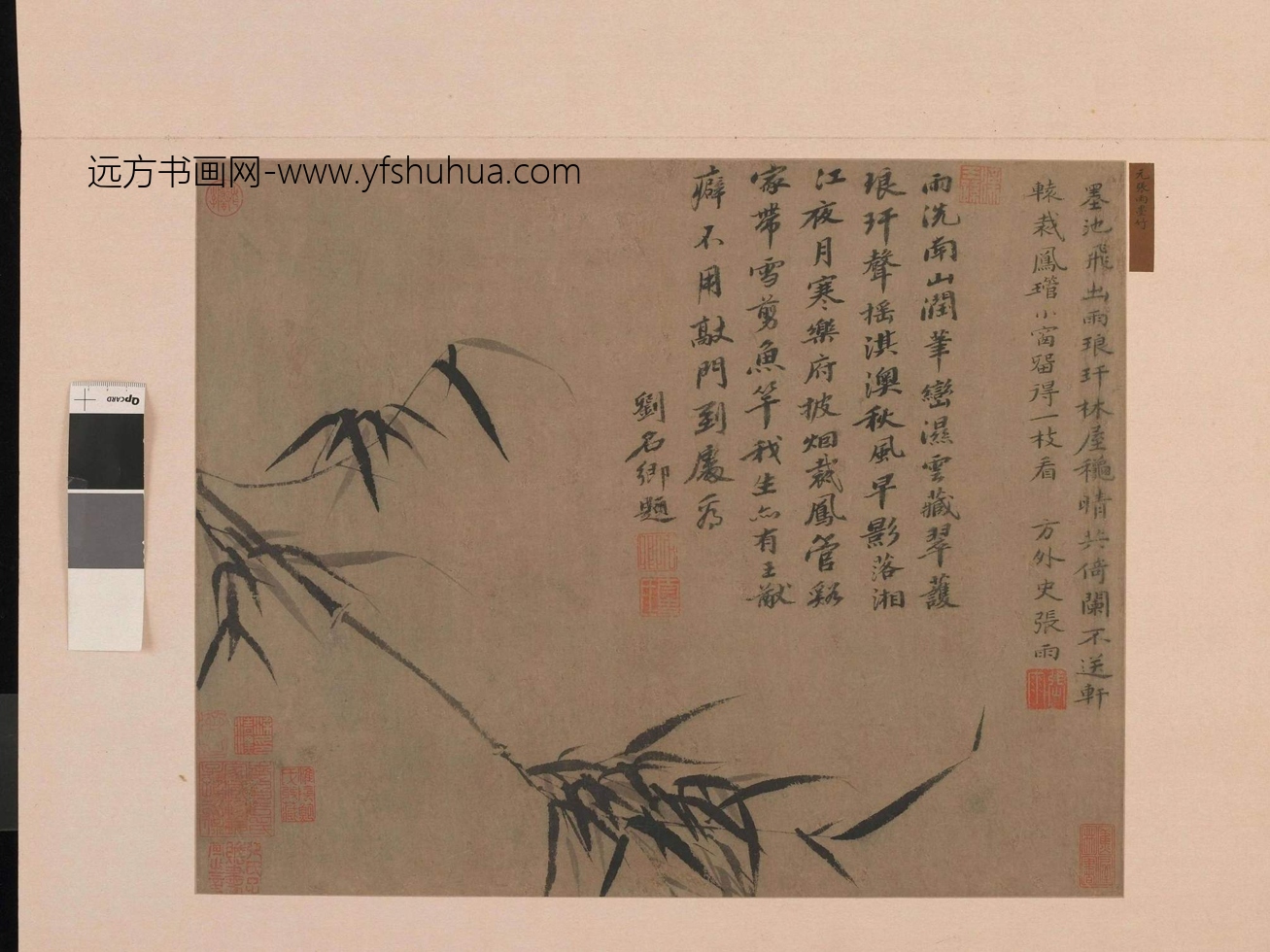 元_张雨_墨竹图 元_张雨_墨竹图