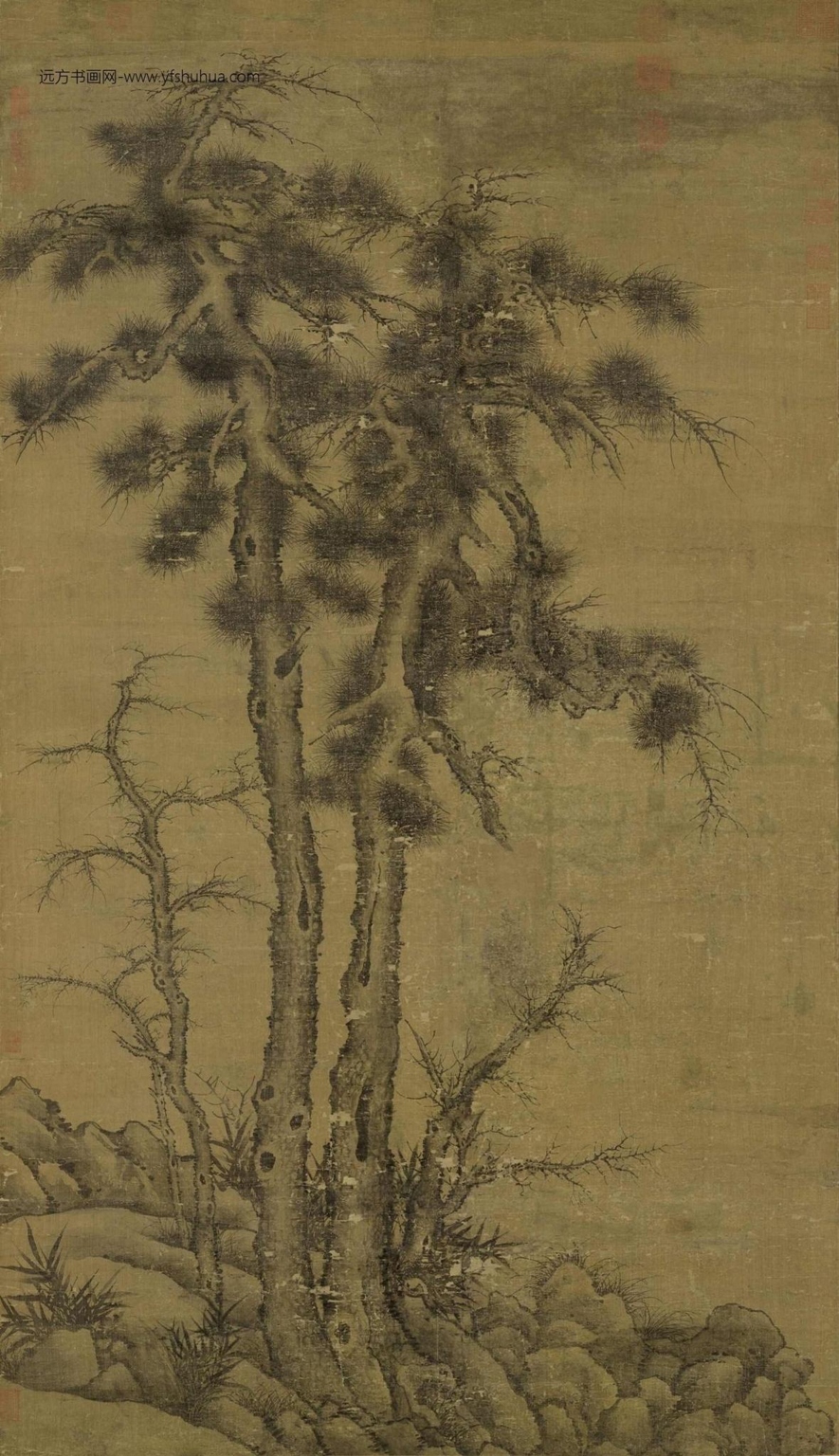 元_李衎_双松图