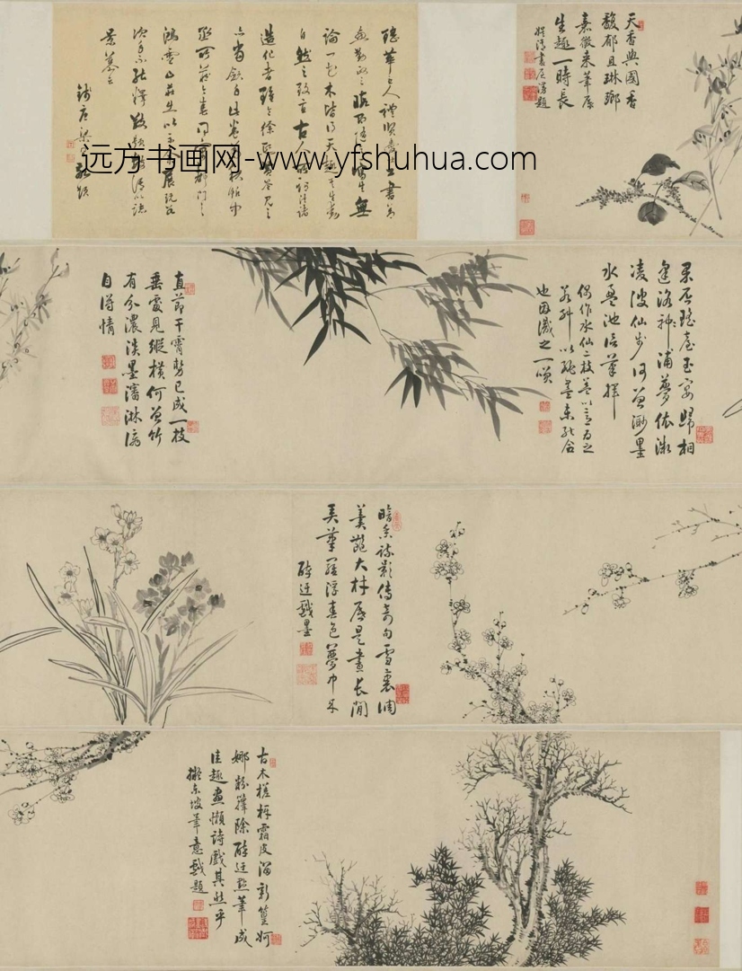 其它-弘旿兰竹水仙图卷-新00010500