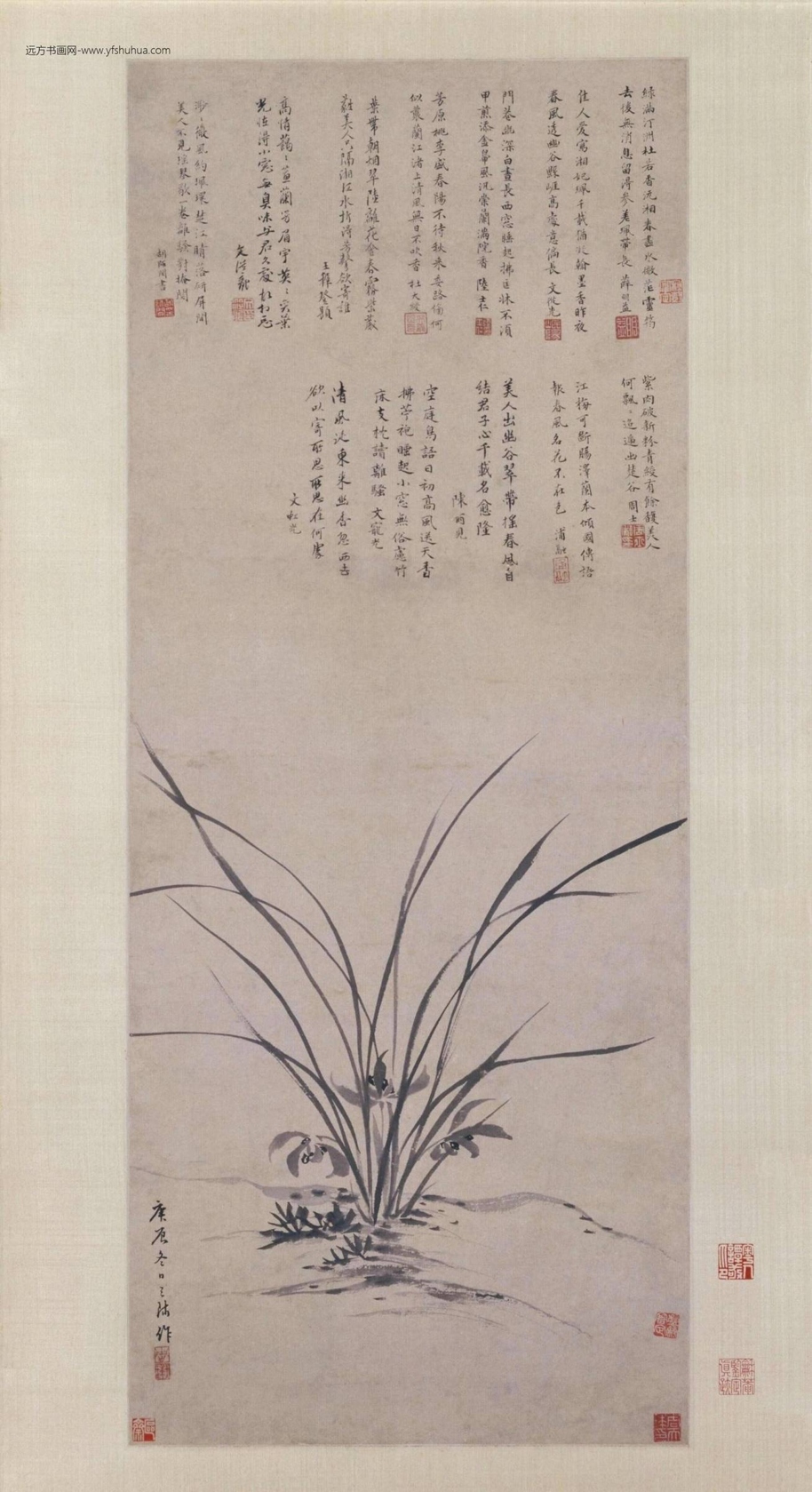 墨兰图轴（1开）-0