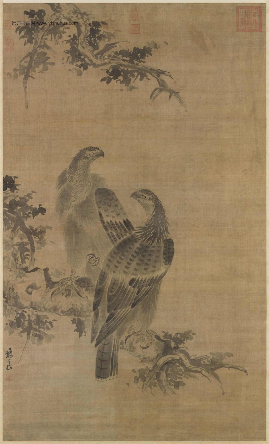 明_林良_鹰图