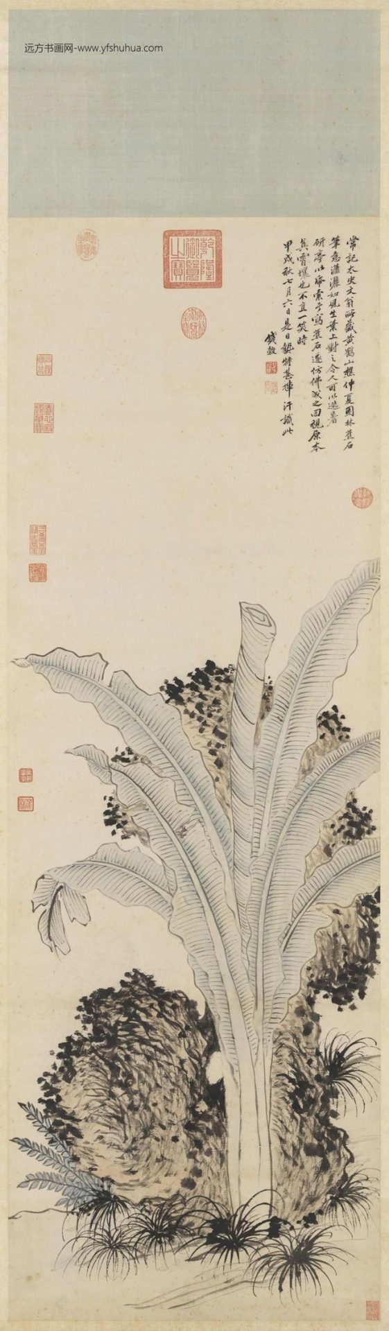 明_钱穀_仿王蒙蕉石图